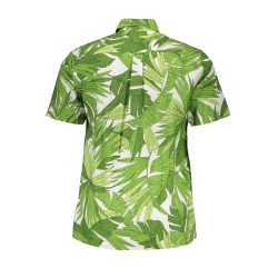 GANT CAMICIA MANICHE CORTE UOMO VERDE